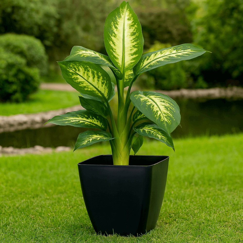 Vaso Elegance Preto 1750ml Ercaplast