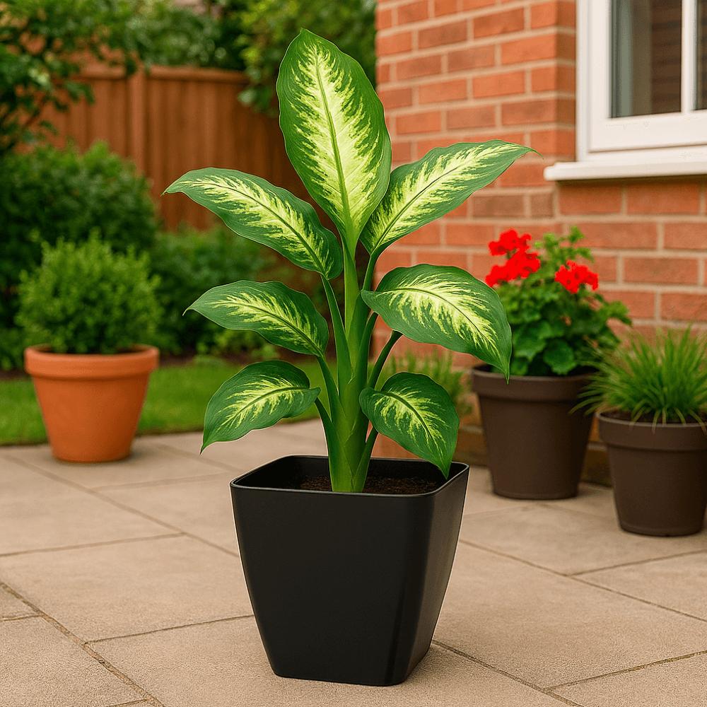 Vaso Elegance Preto 1750ml Ercaplast