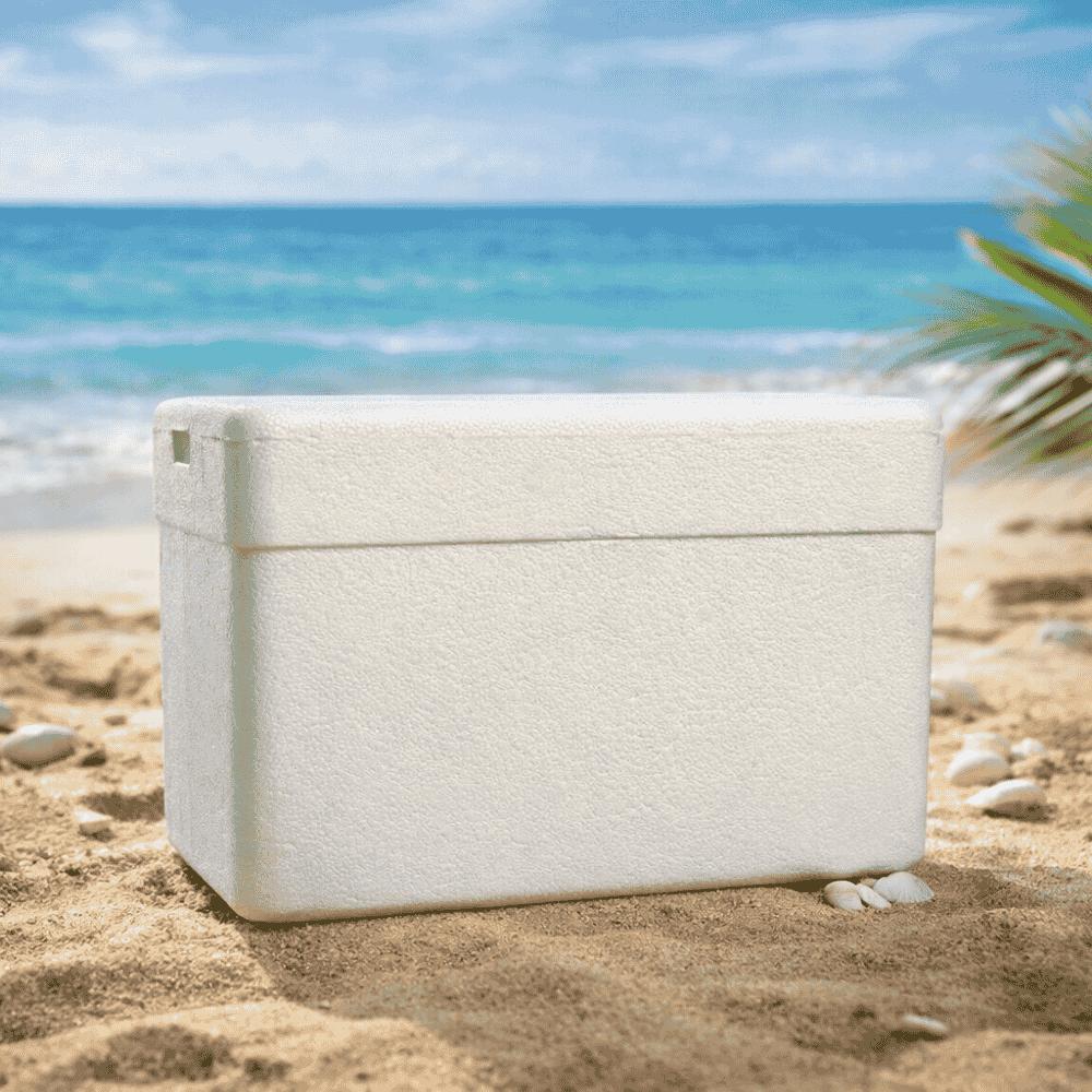 Caixa Térmica De Isopor 50 Litros Styrobox