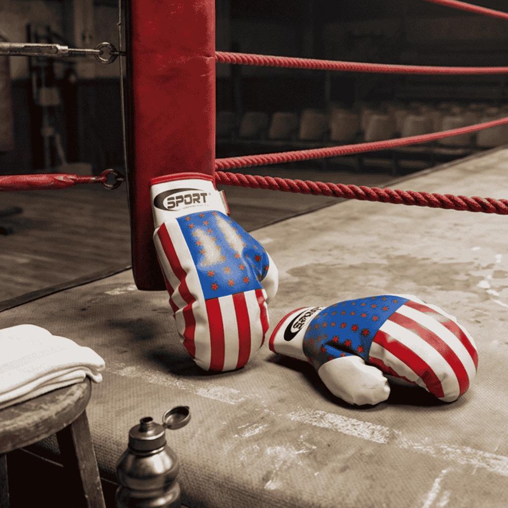 Kit Esportivo Luva De Boxe Arktoys