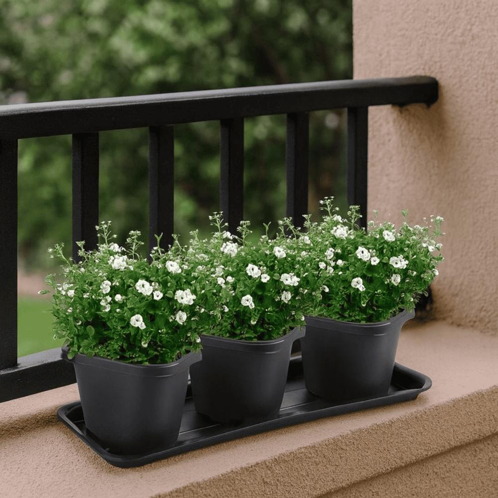 Prato De Jardineira Mini Preto Injeplastec