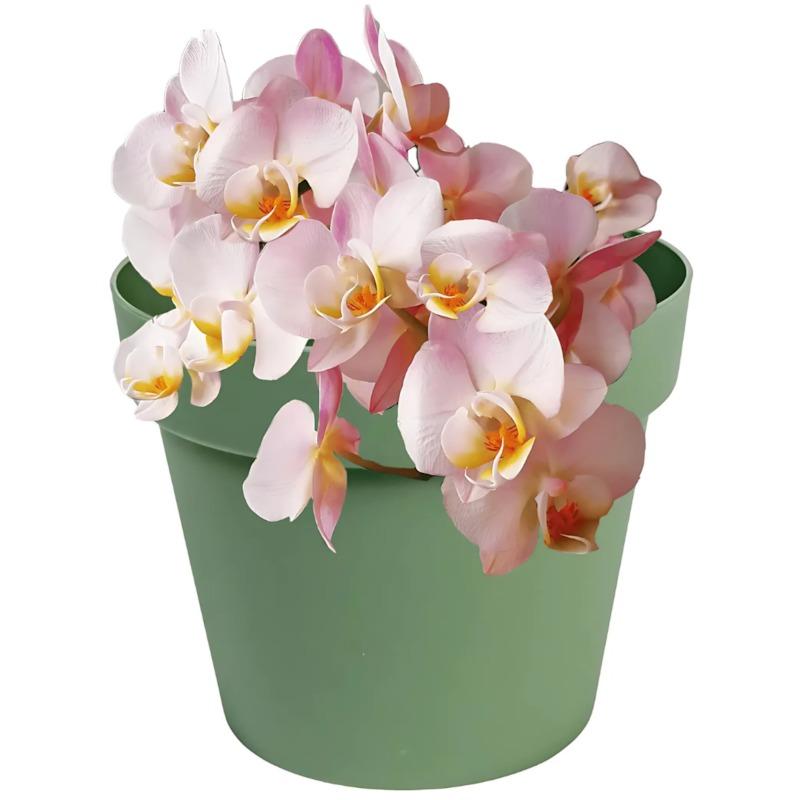 Vaso De Parede Floratta 3Lts Rischioto