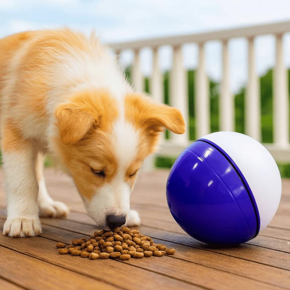 Pet Ball Toys Calegari