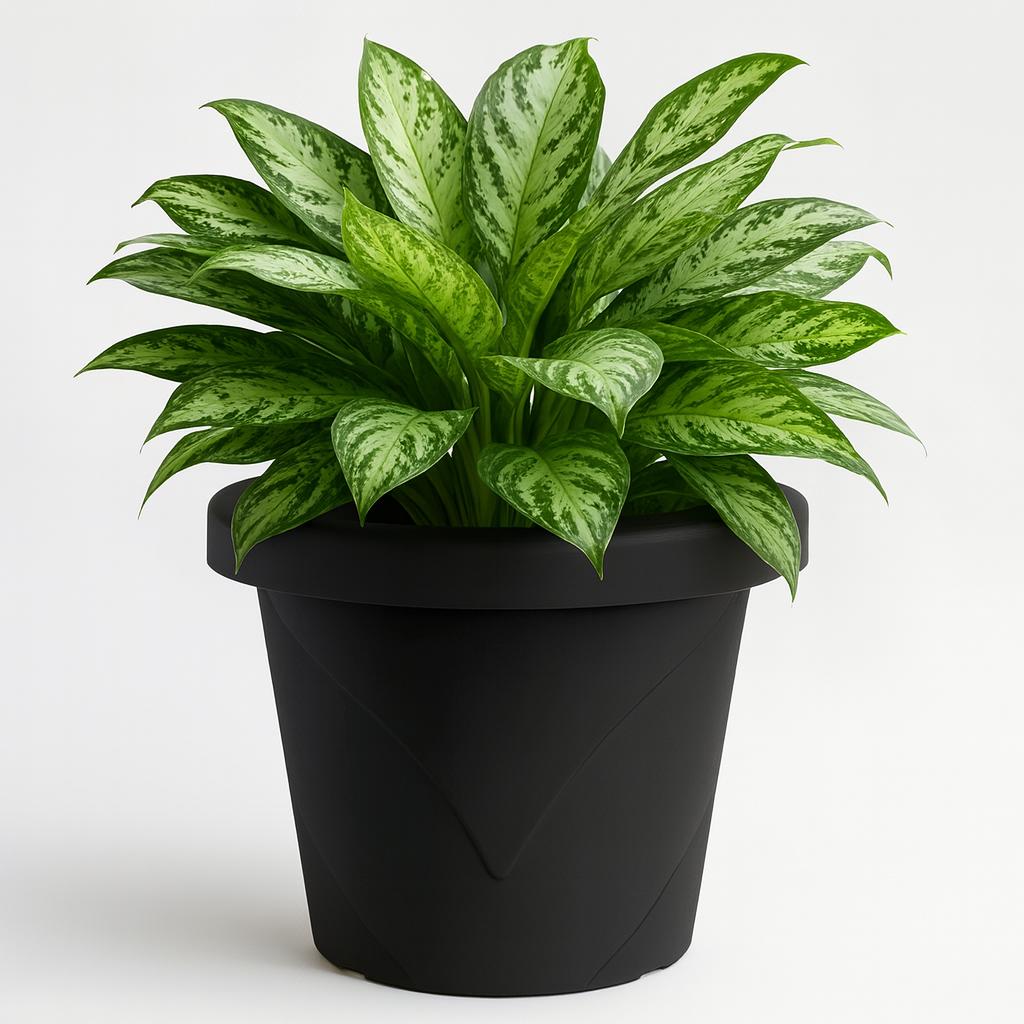 Vaso Roma Redondo Mini Preto Injeplastec
