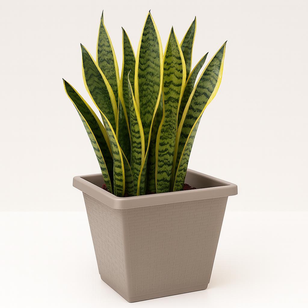 Vaso Quadrado Rattan Nº20 Color Pratic