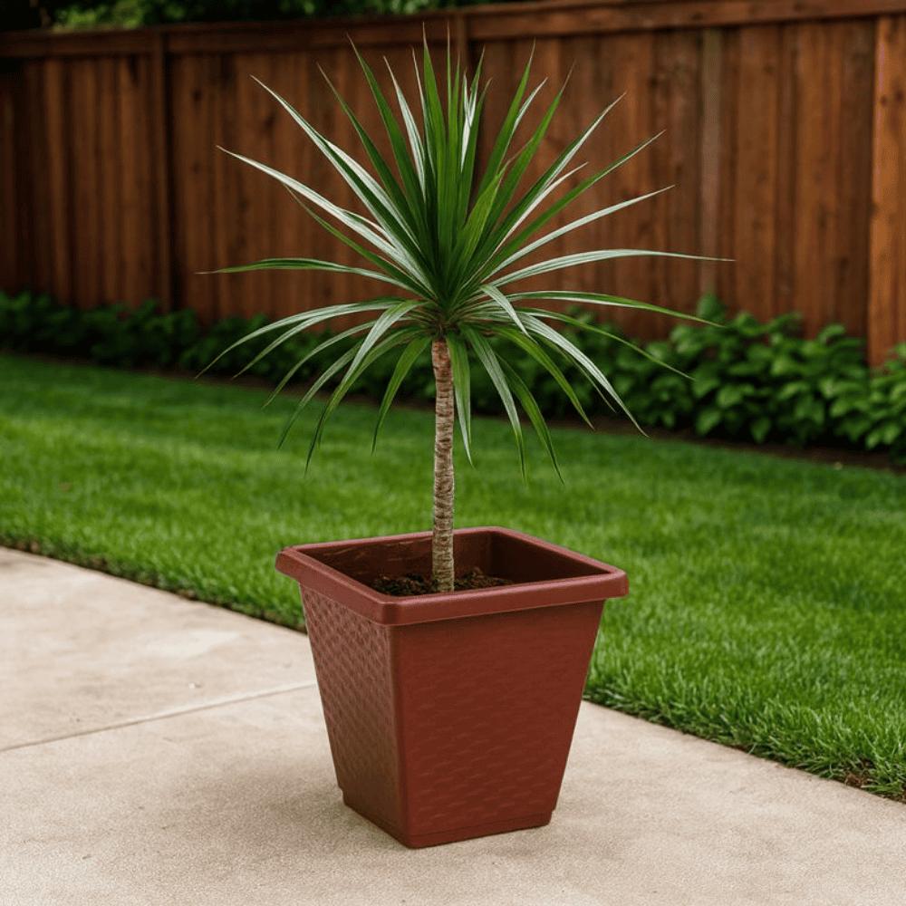 Vaso Quad Rattan N30 14Lt Color Pratic