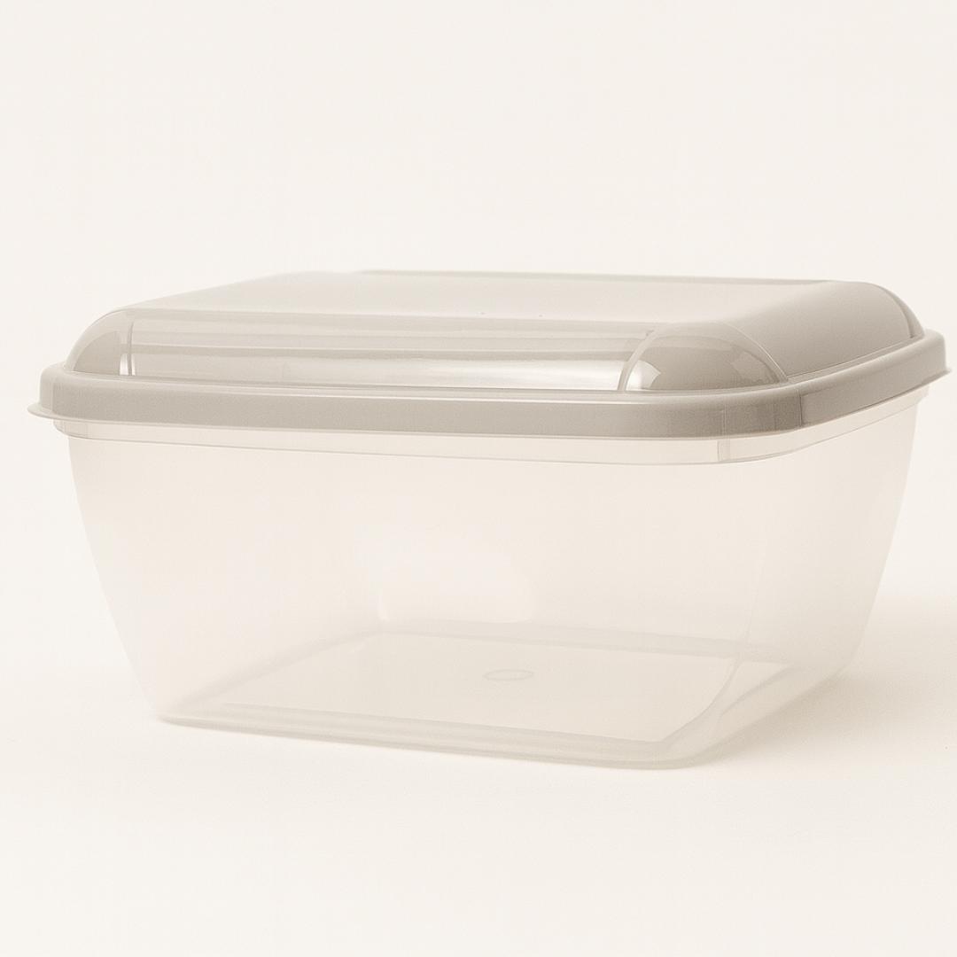 Caixa Organizadora Quad Everyday 1,5Lt Mb