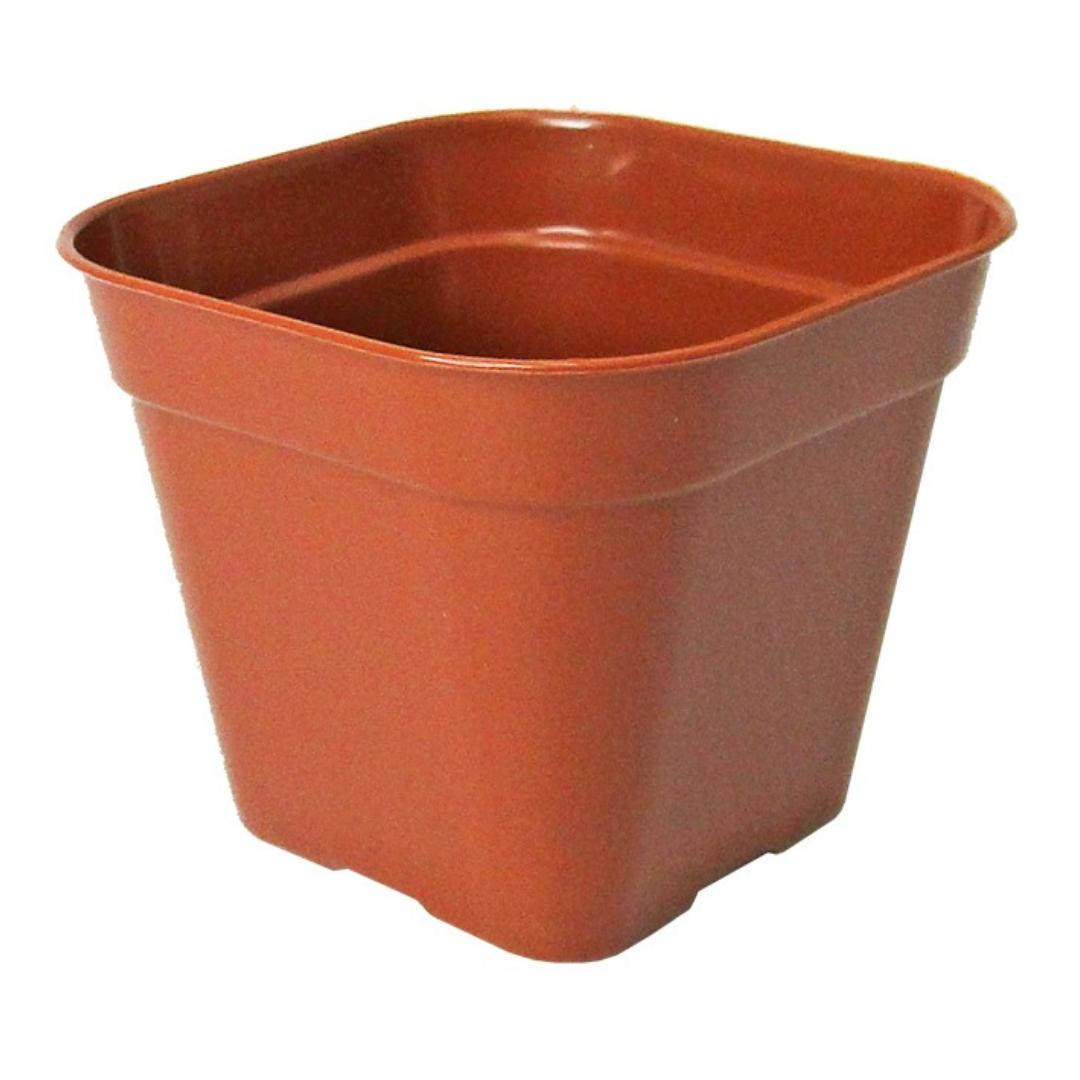 Mini Vaso Quadrado 170Ml