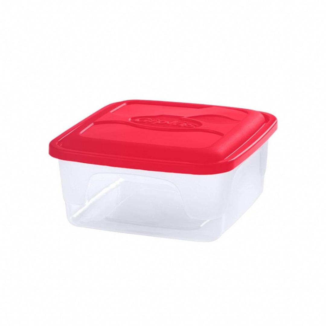 Organizador Quadrado 4L Giplás