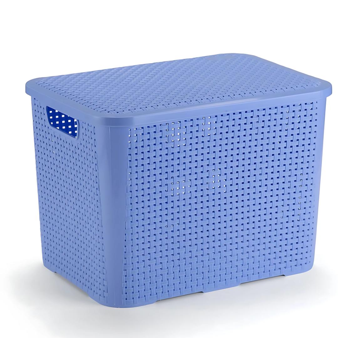 Rganizador Ratan Retangular 26L Azul Pratic