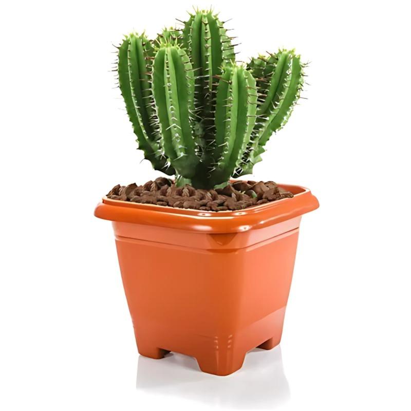 Vaso Qd N22 Marrom Rischioto