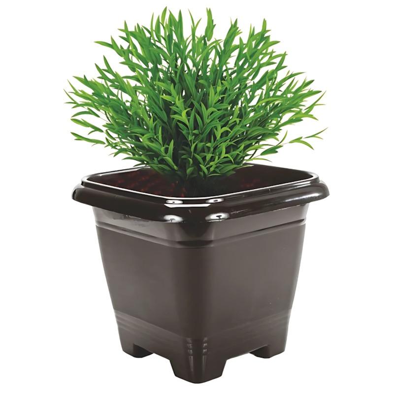 Vaso Qd N17 Preto Rischioto
