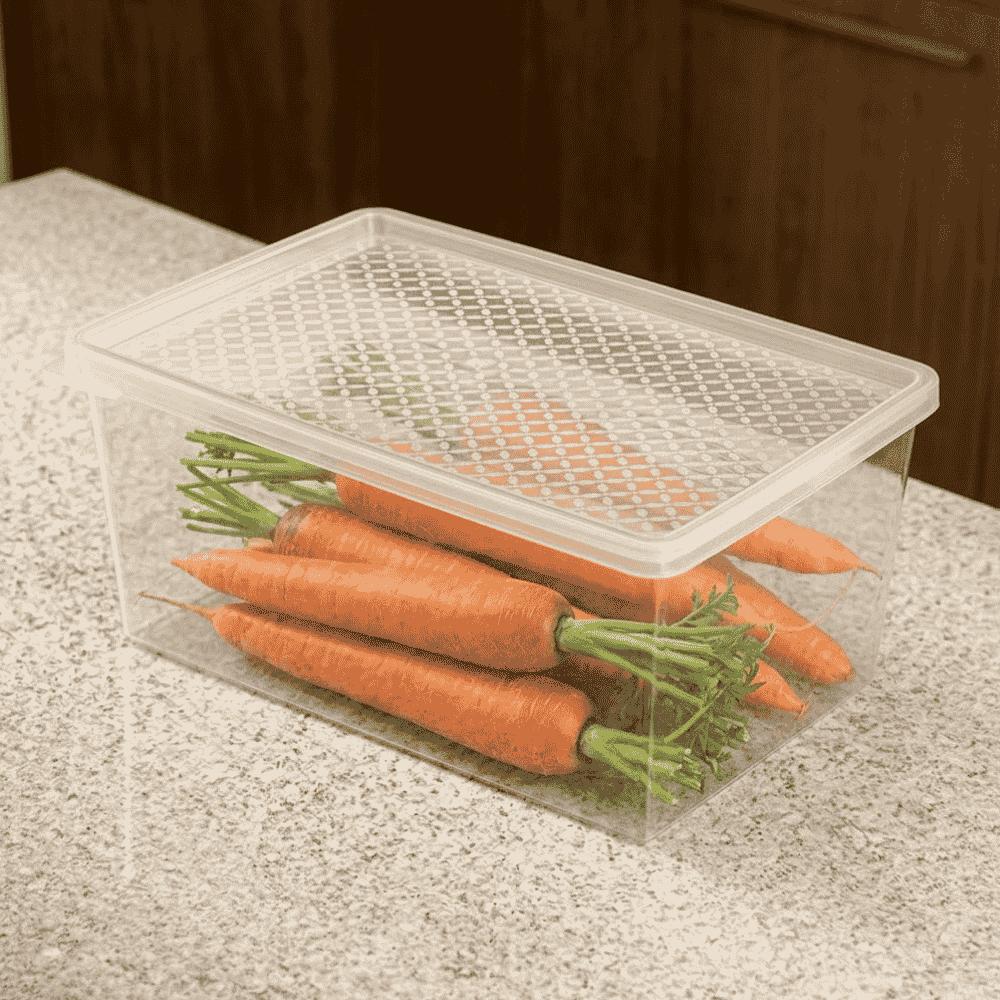 Organizador Multiuso EXG 4,5L Transparente com Tampa