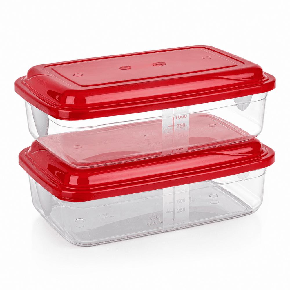 Conjunto 2 Organizadores Retangulares 1,5L Giplas