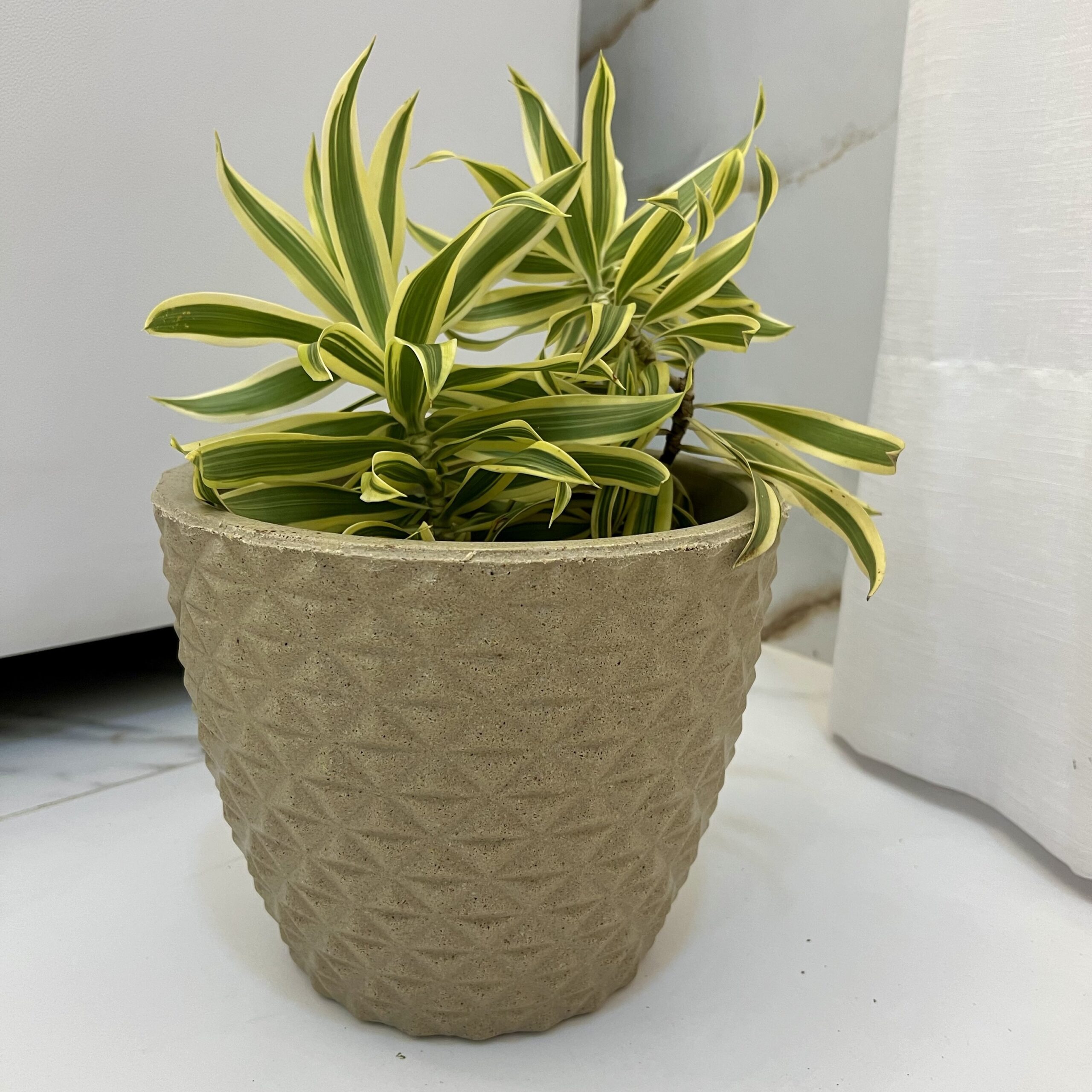 Cone Berlian Gold M Rotoplast