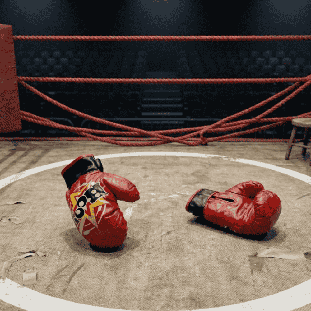 Kit Esportivo Luva De Boxe Arktoys