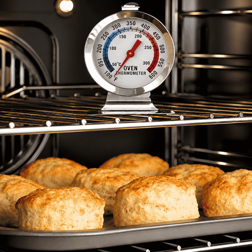 Termômetro Inox para Forno Wincy