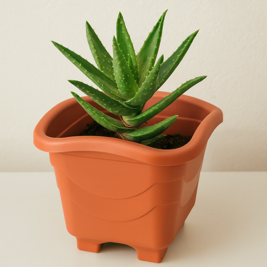 Vaso Quadrado Pequeno Telha Injeplastec