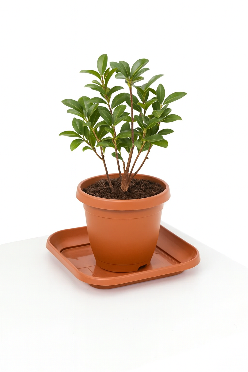 Prato De Vaso Quadrado Mini Telha Injeplastec