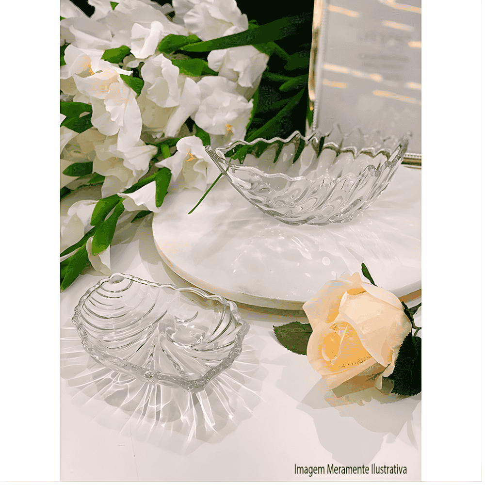 Concha Decorativa Shell Coliseu