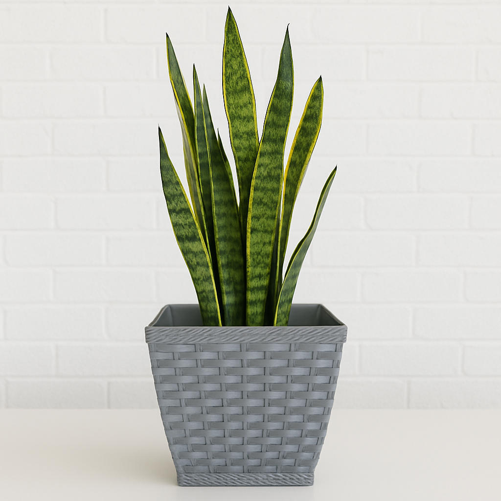 Vaso Cachepo Rattan M3 Quadrado Cinza Injeplastec
