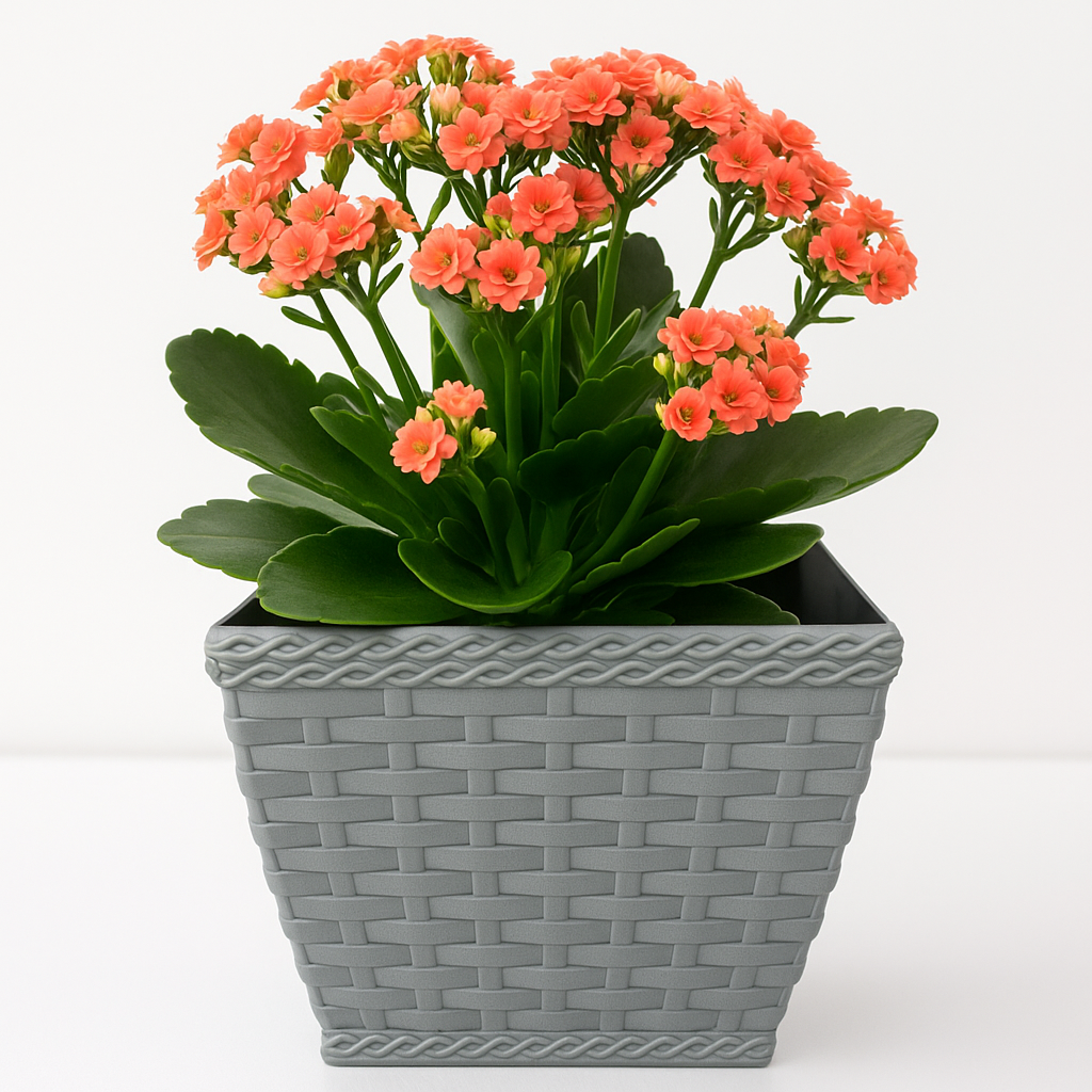 Vaso Cachepo Rattan M3 Quadrado Cinza Injeplastec