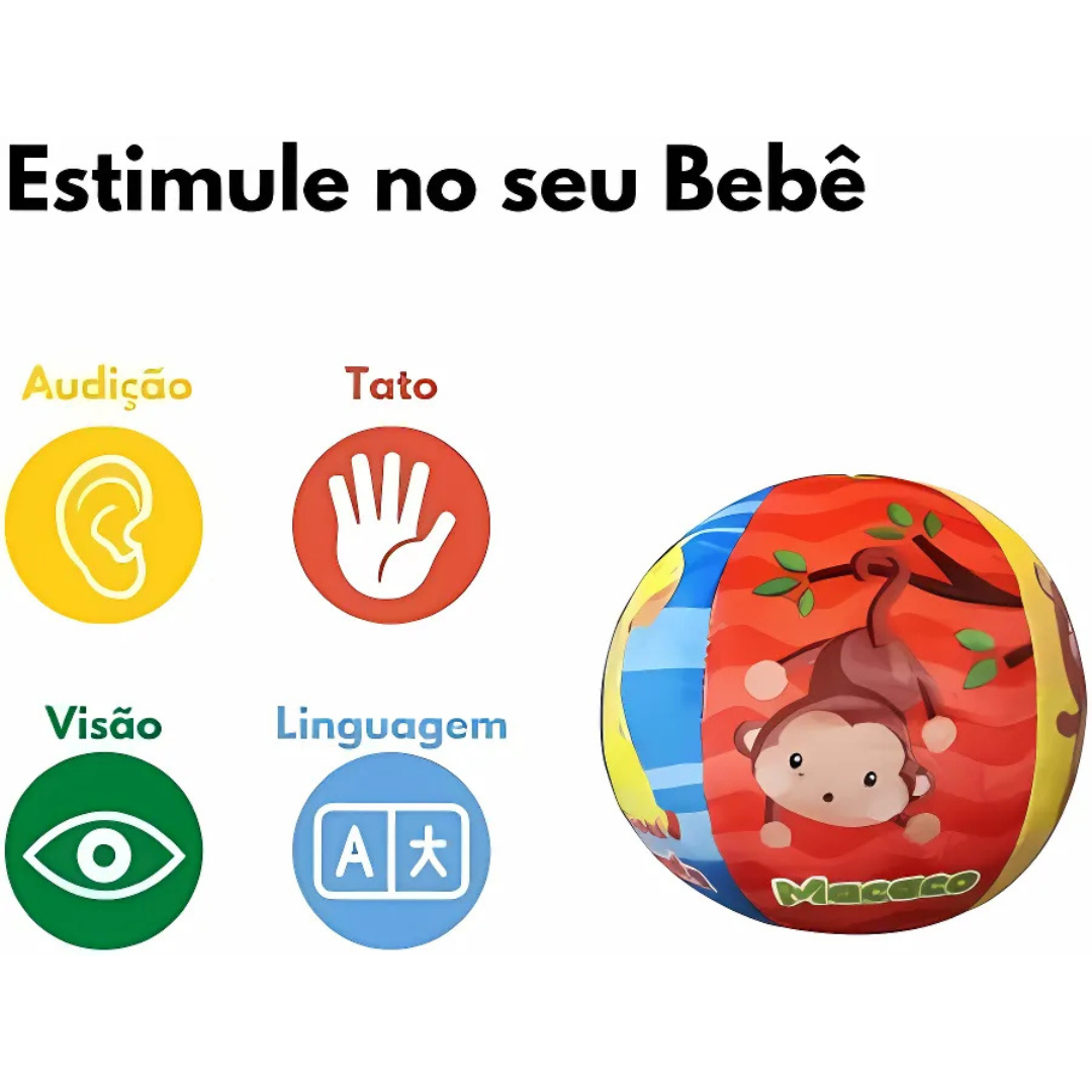 Bola Chocalho Baby Dmbrasil