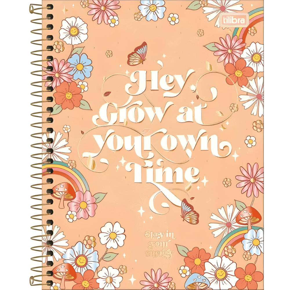 Caderno Cd Coleg Gypsy 1 Matéria 80Fls