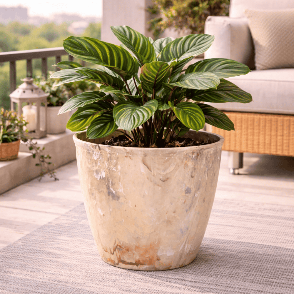 Vaso Redondo Bege Travertino 750Mm Injeplastec