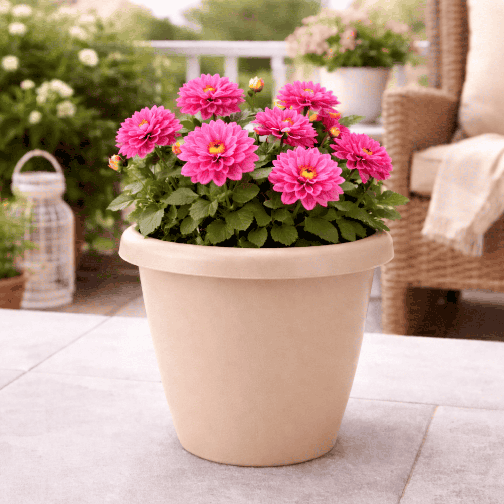 Vaso Redondo Rattan N11 Color Pratic