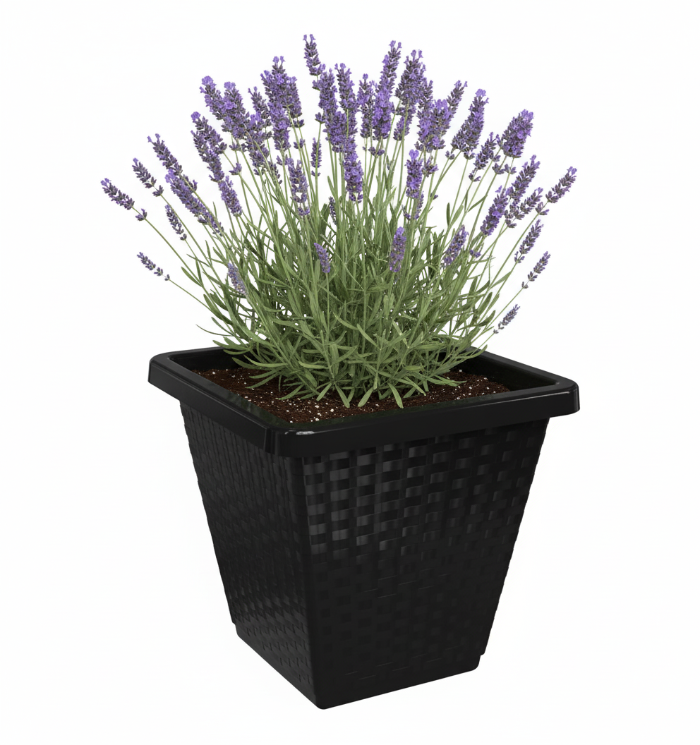 Vaso Quadrado Rattan N11 Color Pratic