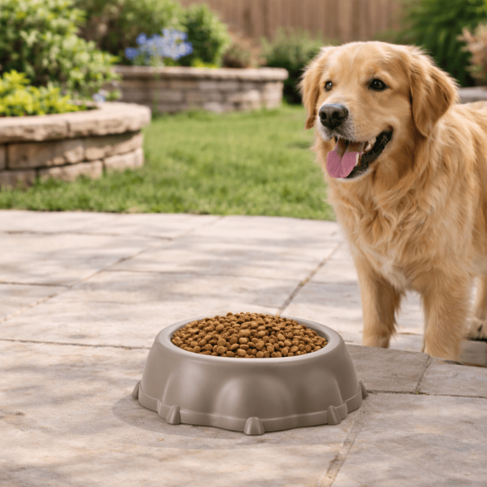 Comedouro Médio Para Cães Ercaplast 2628