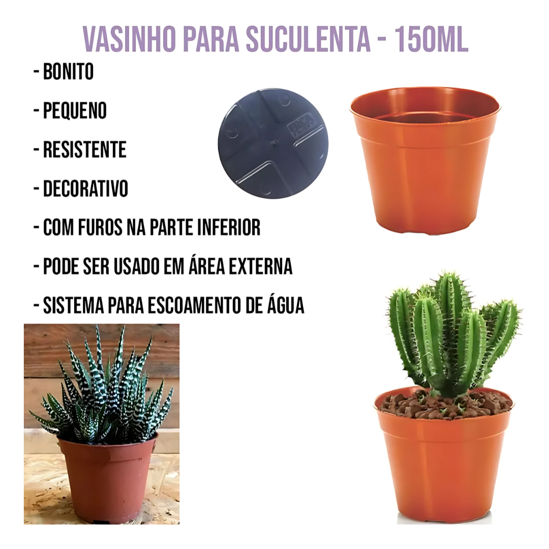 Conj Vaso Red P/Suculenta 5Pcs Ercaplast