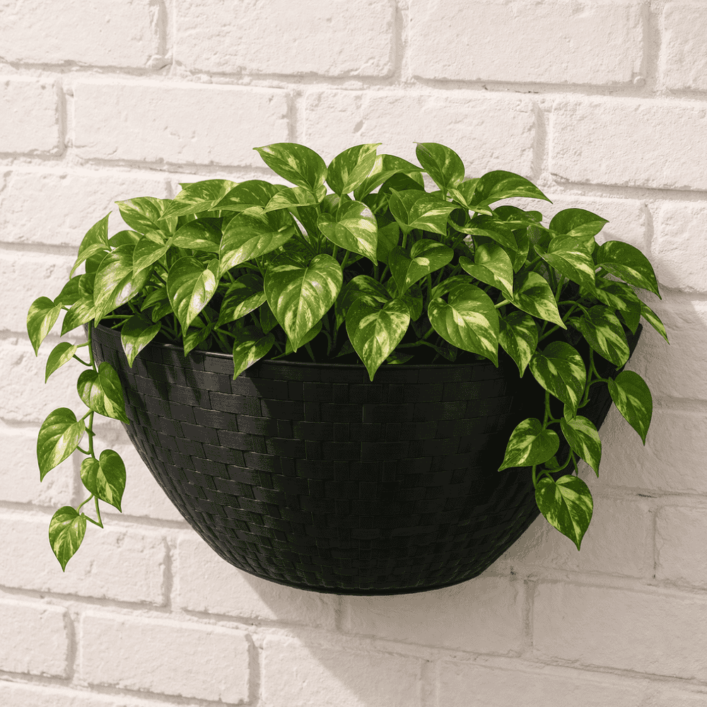 Vaso De Parede Ratan Preto 3,3L Ercaplast