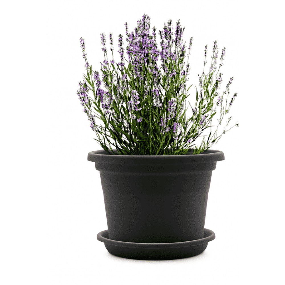 Prato Para Vaso Ercaplast