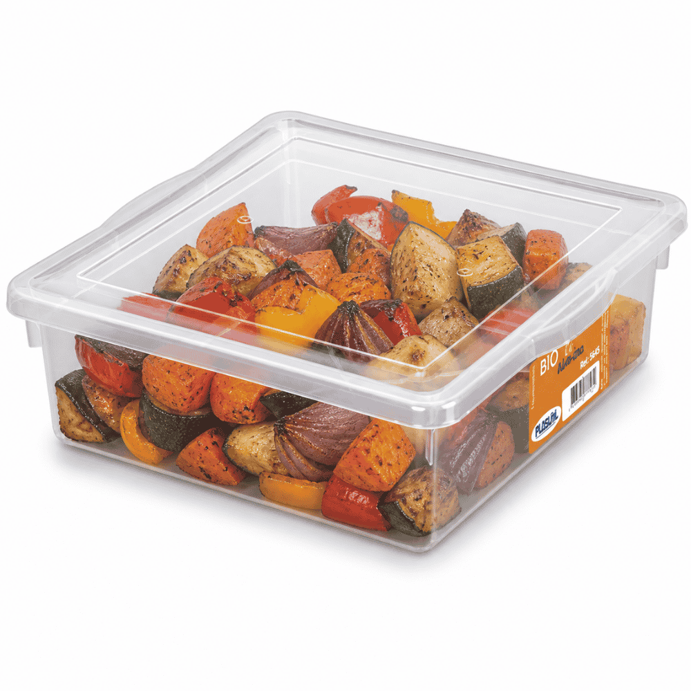 Caixa Org Biopratika C/tp Pleion 0325