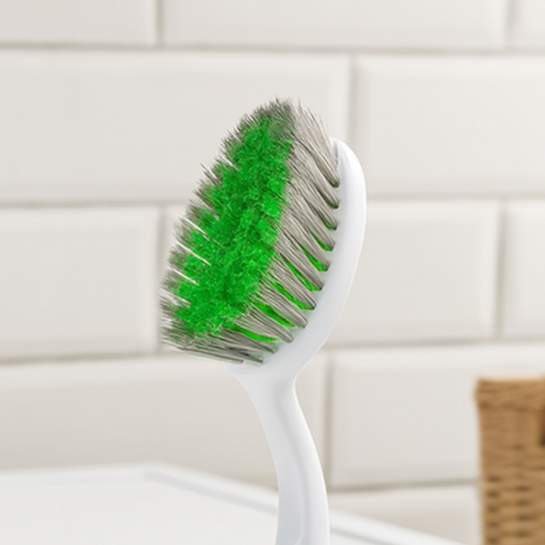 Escova P/Limpeza Cerdas Plast Chazak