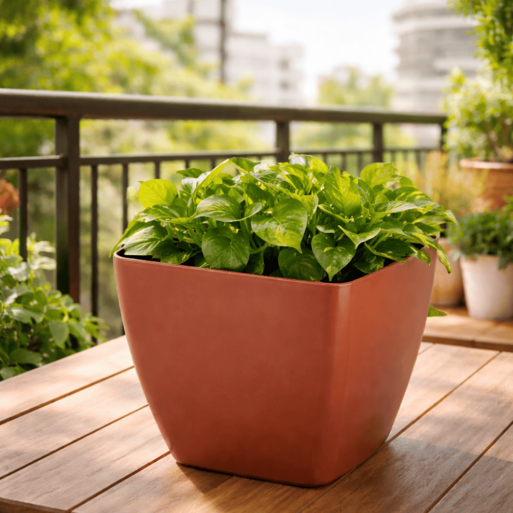 Vaso Elegance Ceramico 750ml Ercaplast