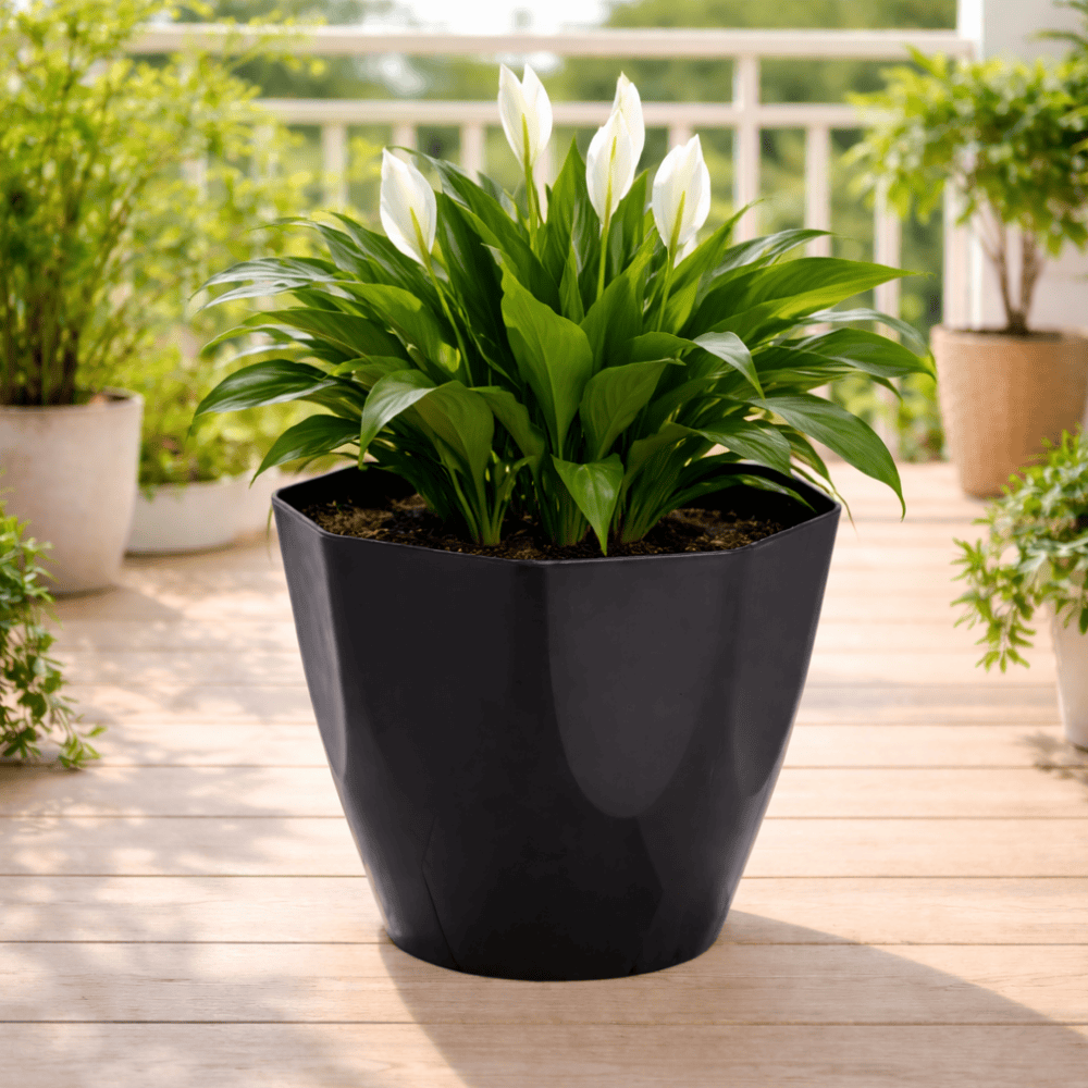 Vaso Diamante Preto 2,9L Ercaplast
