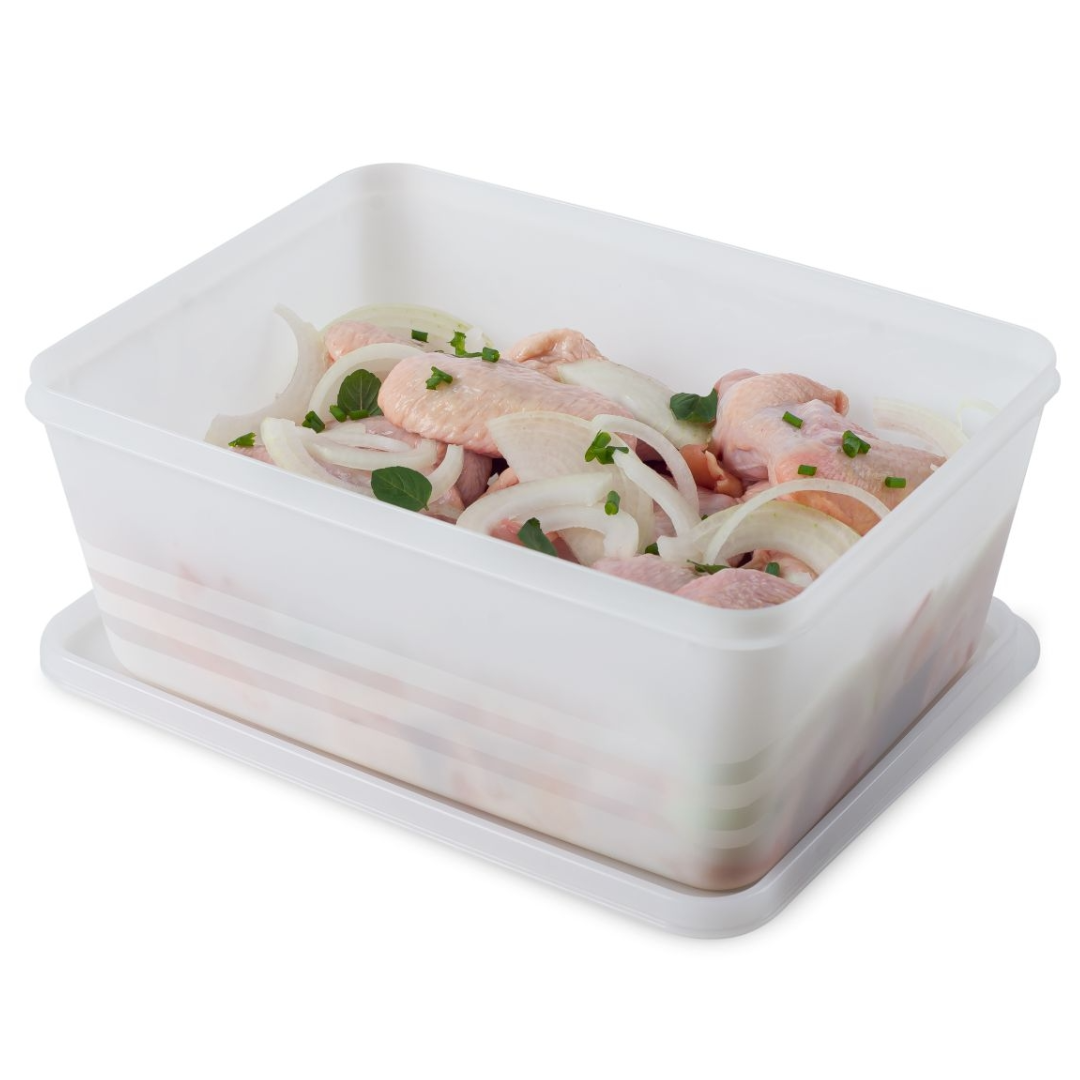 Organizador Hermético Multiuso 4,5L Alves