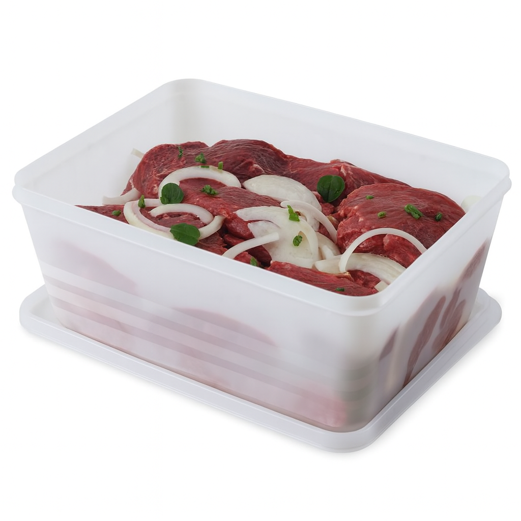 Organizador Hermético Multiuso 4,5L Alves