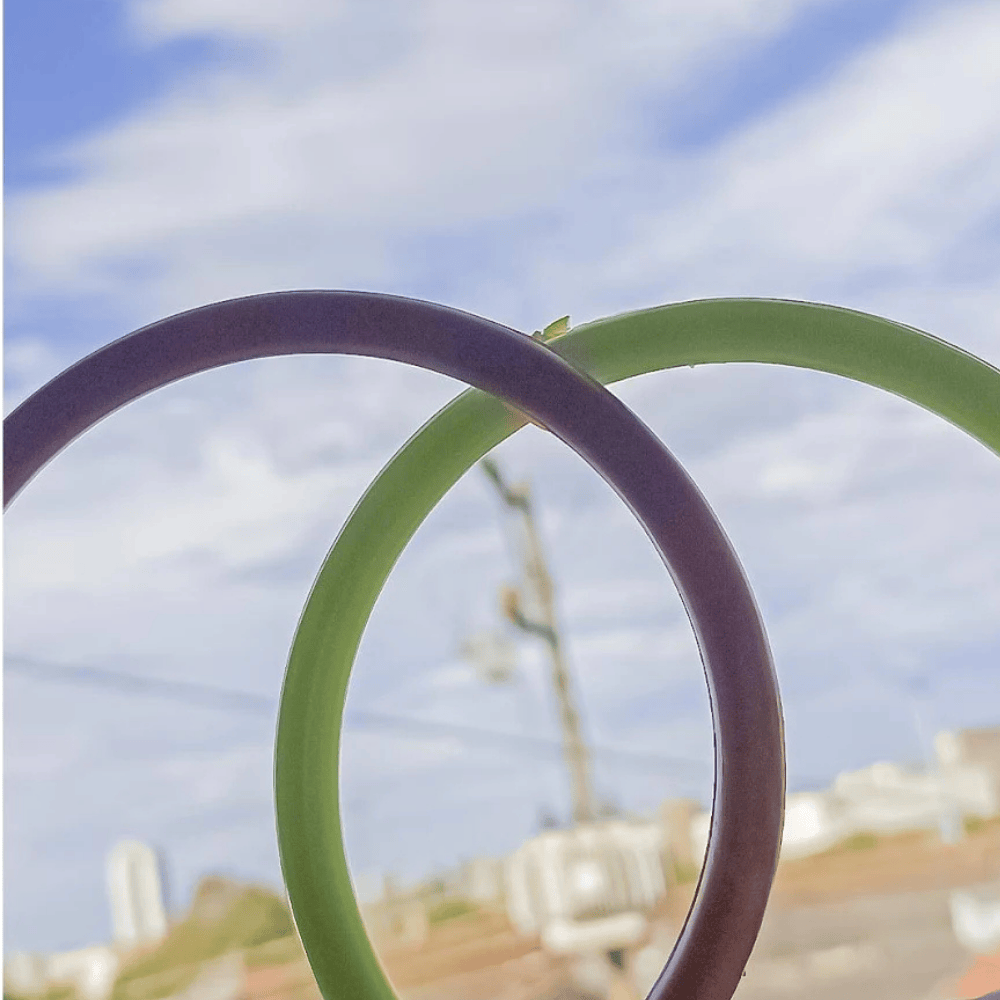 Argola Com 6 Minitoys