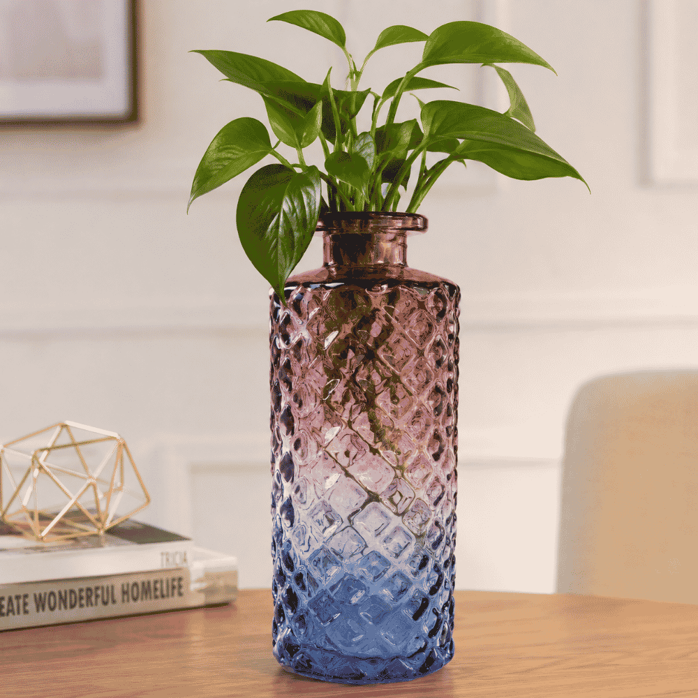 Vaso Decorativo de Vidro Yins