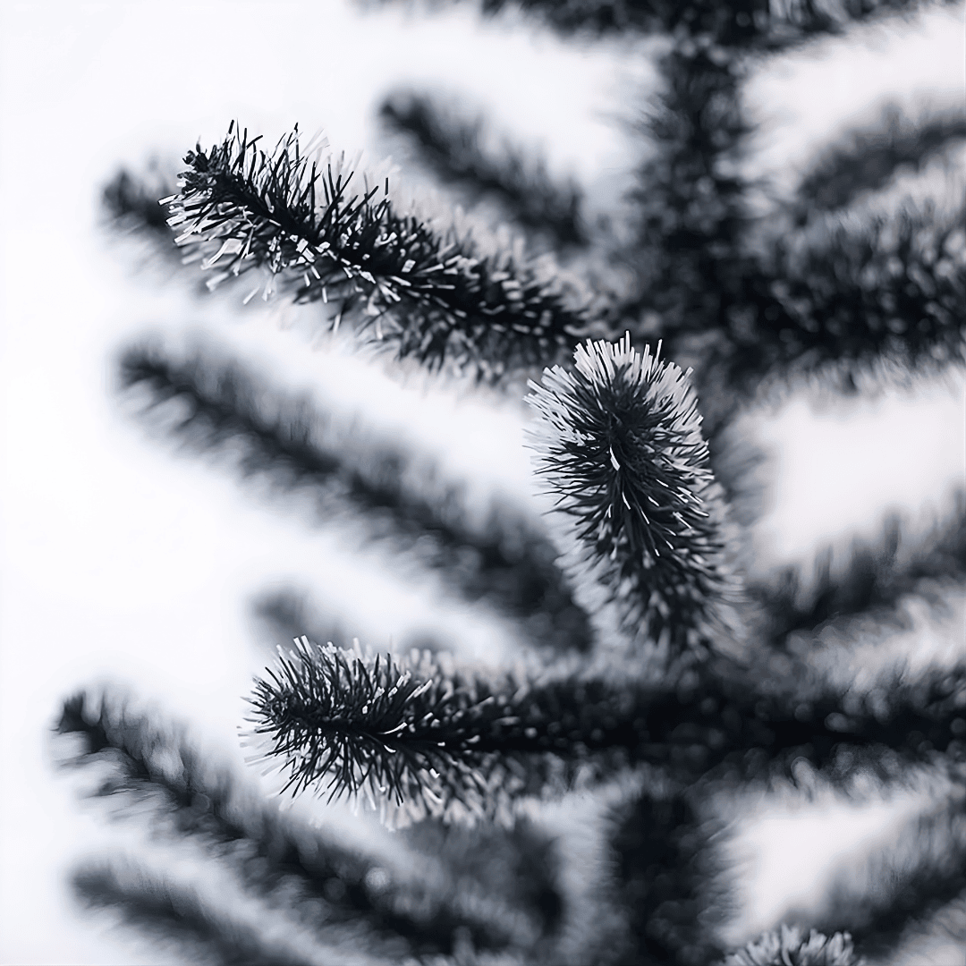 Árvore de Natal Nevada 90cm Multiart