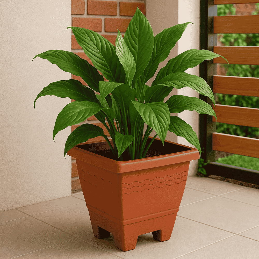 Vaso Quadrado Grande Cerâmico 14,5LT Plasnew