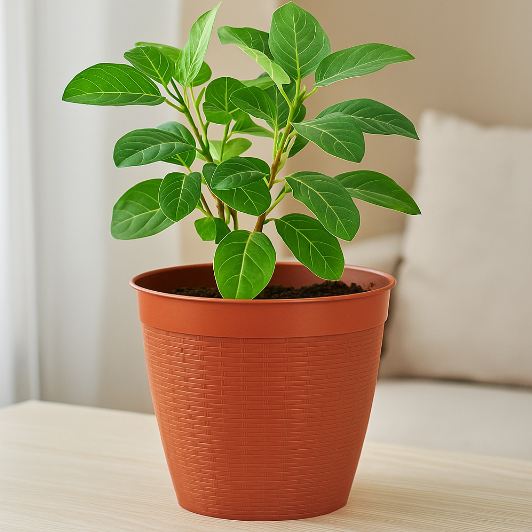 Vaso Redondo Vime C/Borda Reta Cerâmica 14,5L – Plasnew