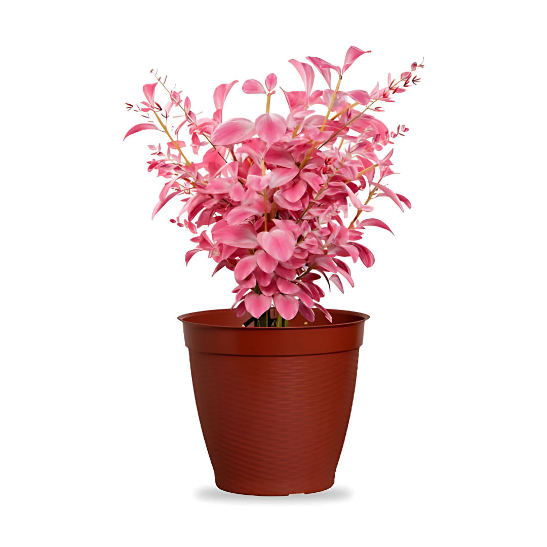 Vaso Redondo Vime Com Borda Reta Cerâmico 44L Plasnew