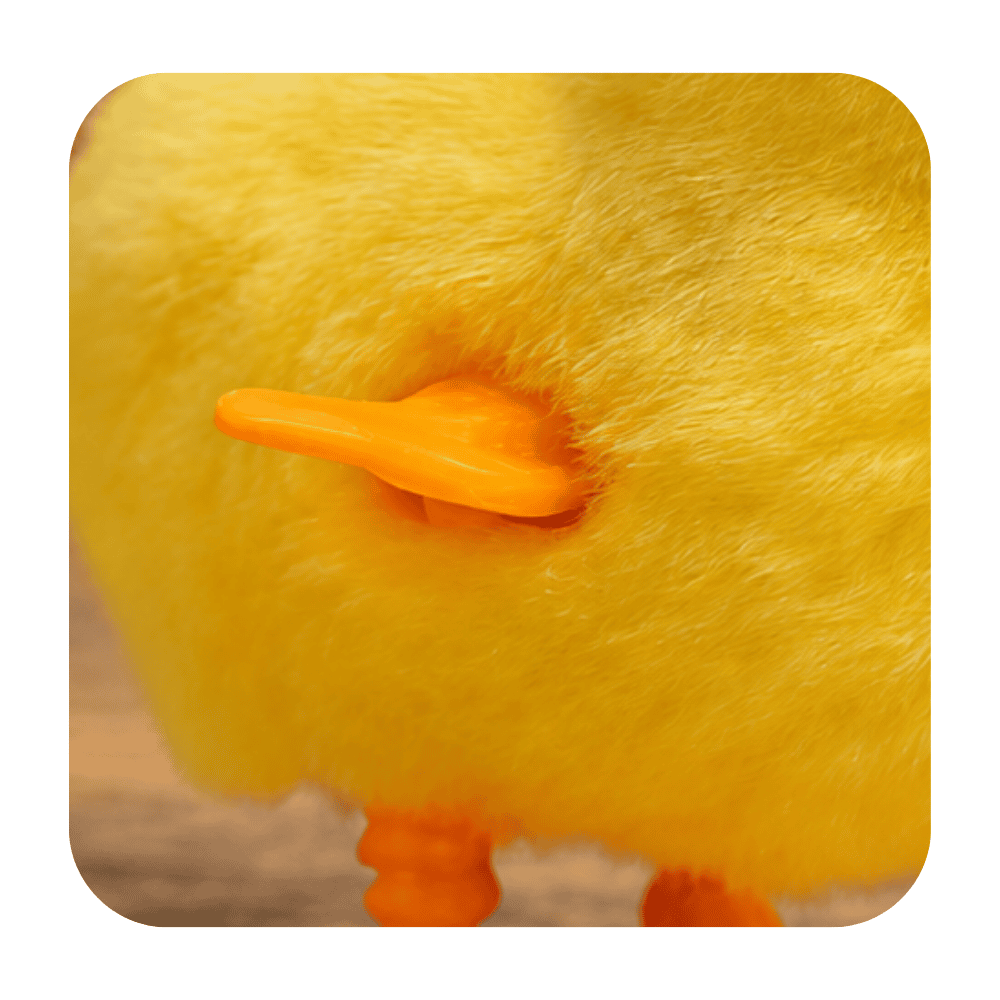 Bichos Divertidos Arktoys