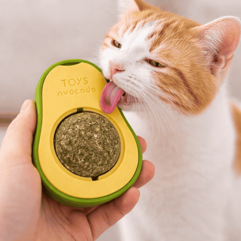 Brinquedo Catnip Pet Yins