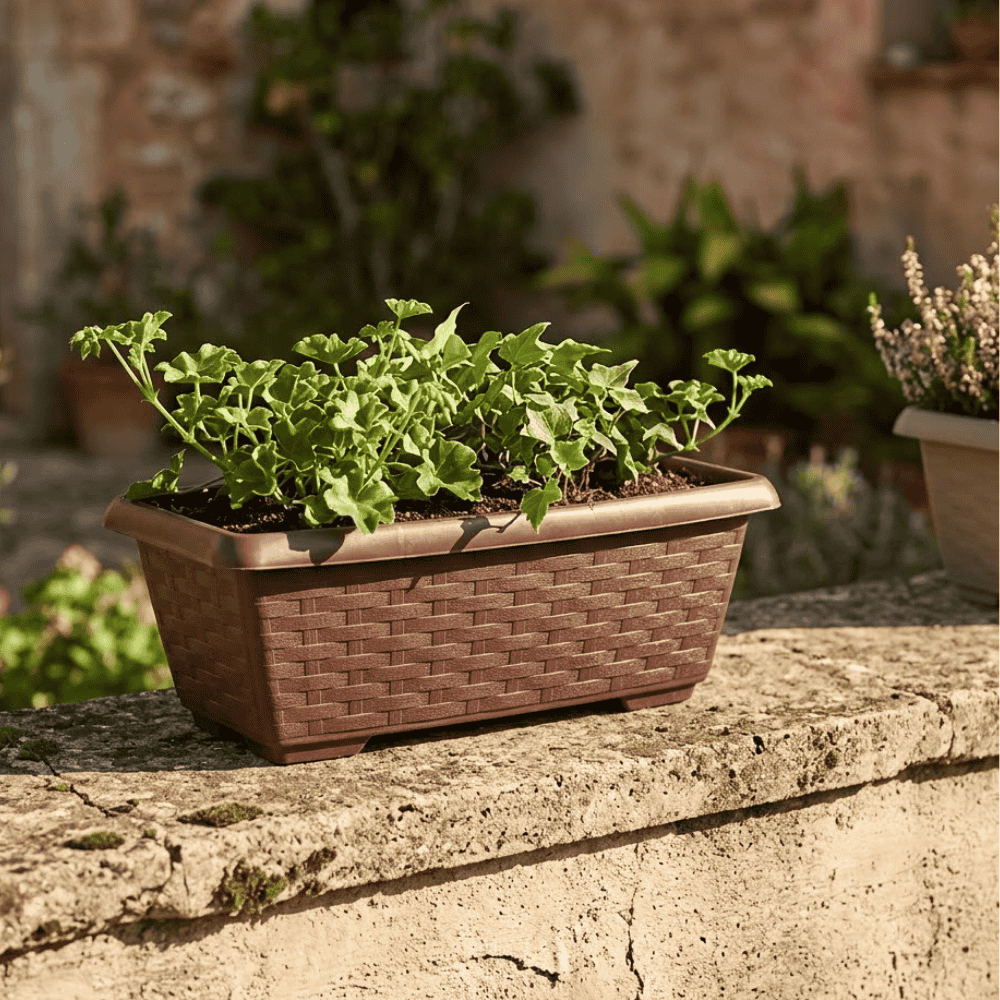 Floreira Retangular Rattan 8,5L Color Pratic